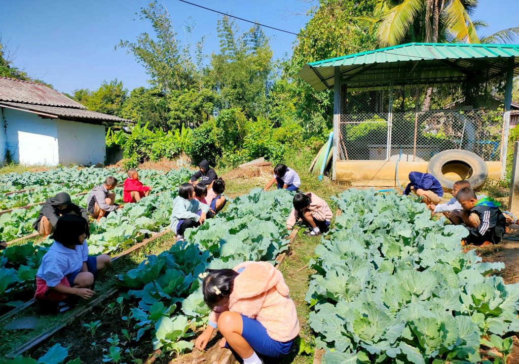 LINE_ALBUM_งานอาชีพ_250623_8