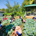 LINE_ALBUM_งานอาชีพ_250623_8