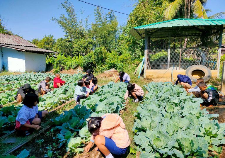 LINE_ALBUM_งานอาชีพ_250623_8